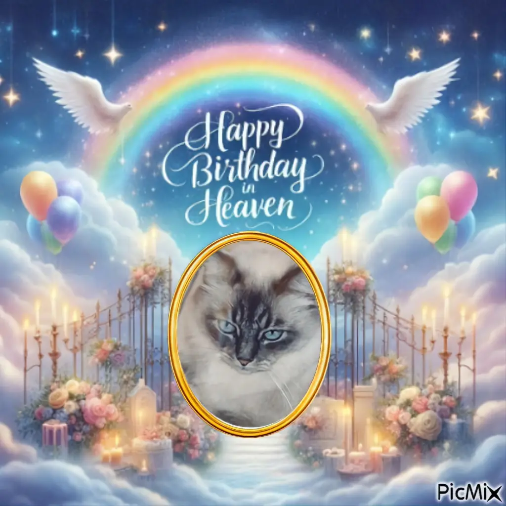 Condolence image of ❤️🎁🎂❤️🧡🩷🩵💛💙💜💚