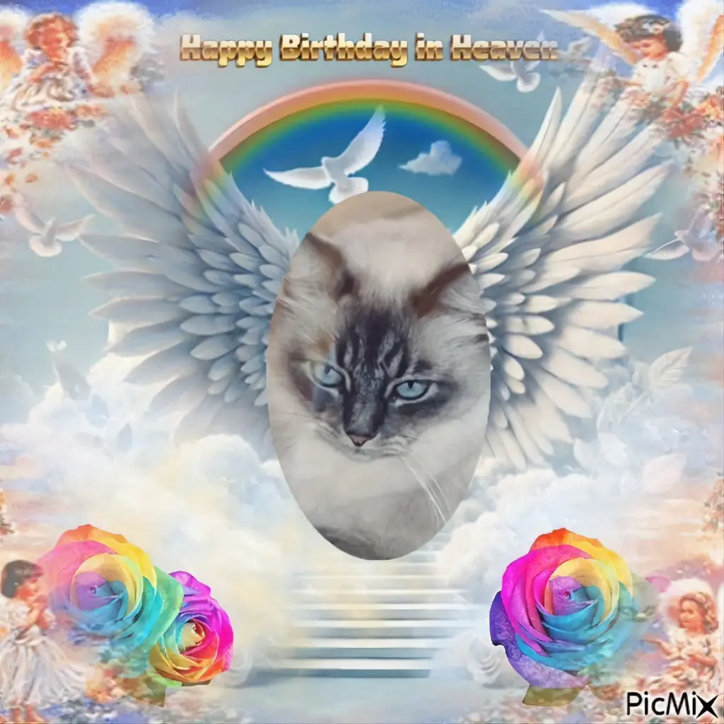 Condolence image of ❤️❤️❤️🎂❤️❤️❤️