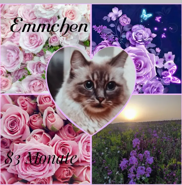 Condolence image of Am Mama💜