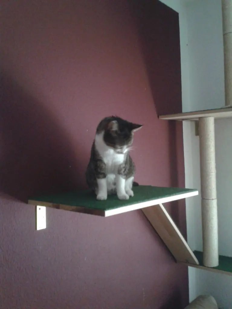 Image from Ella