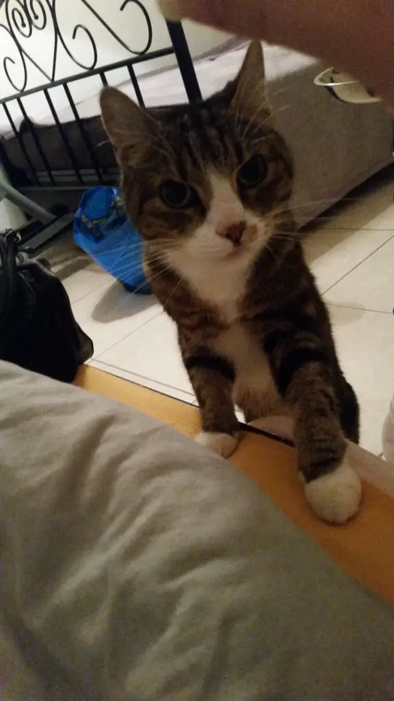 Condolence image of Deine Mama