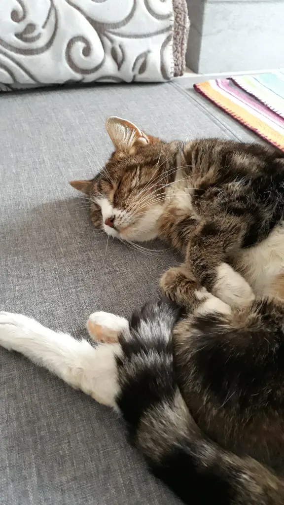 Condolence image of Deine Mama