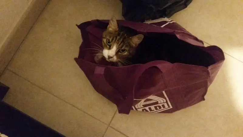 Condolence image of Deine Mama