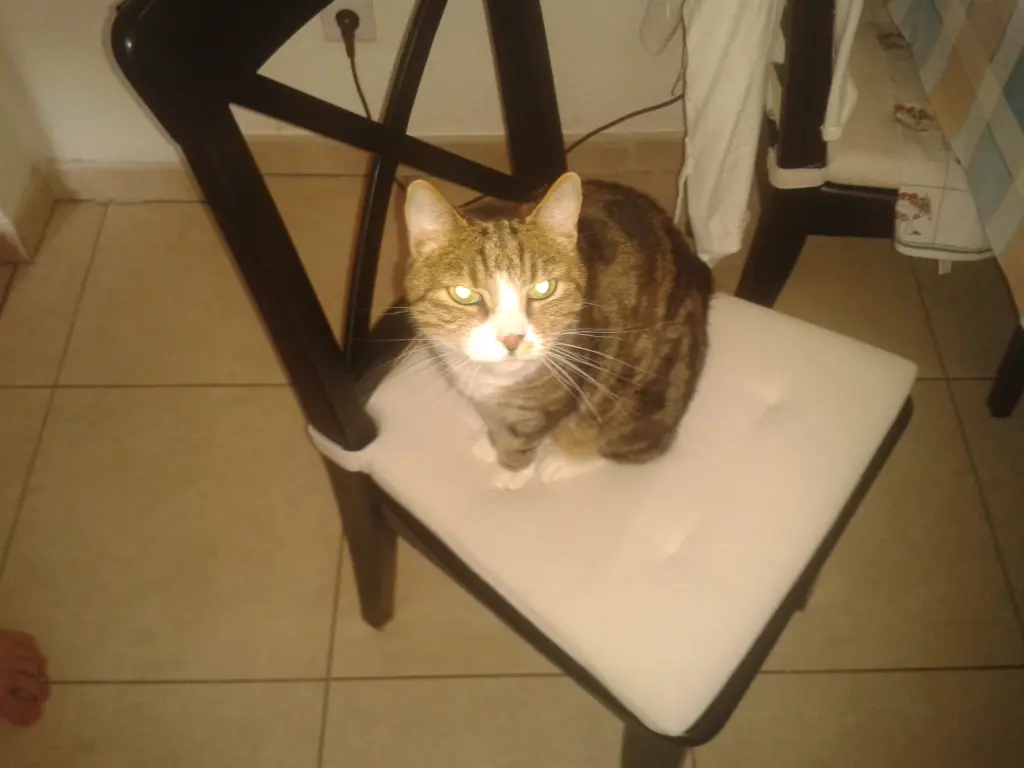 Condolence image of Deine  Mama