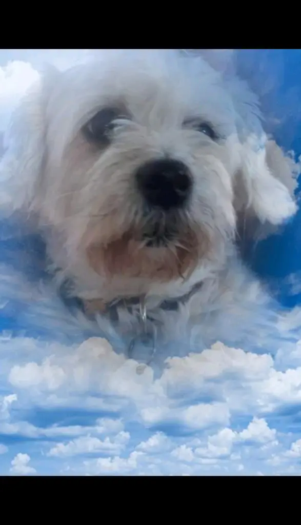 Condolence image of Mama