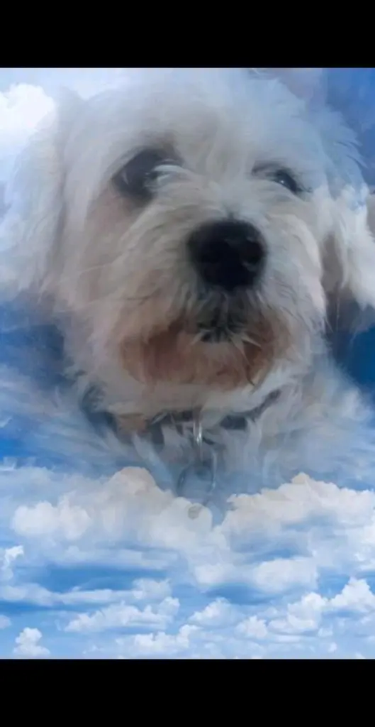 Condolence image of Mama