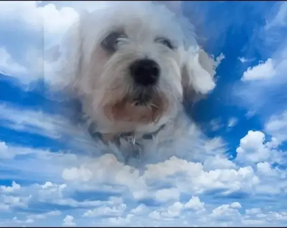 Condolence image of Mama