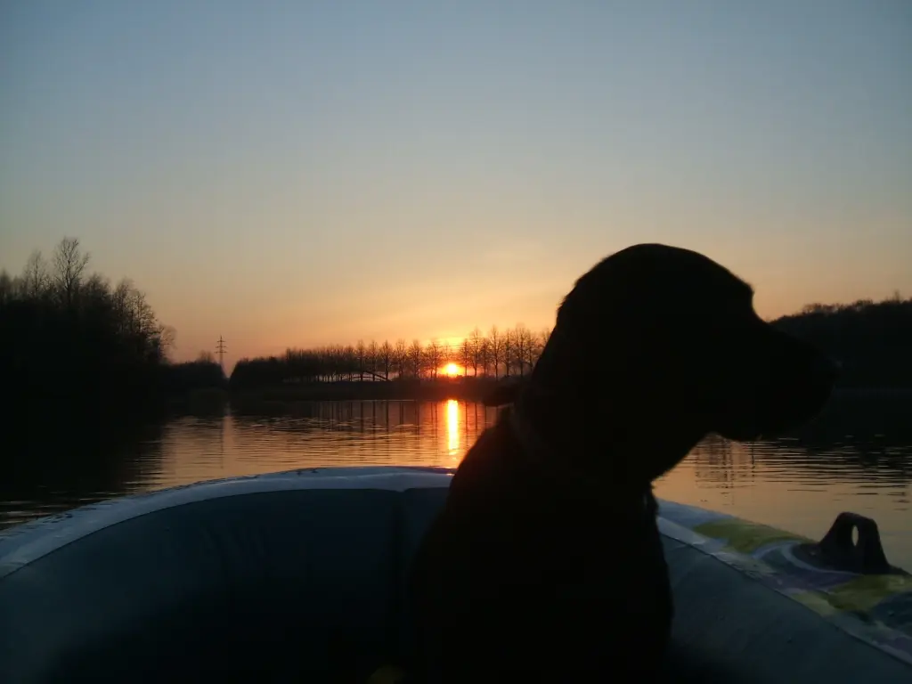 Image from Trixie