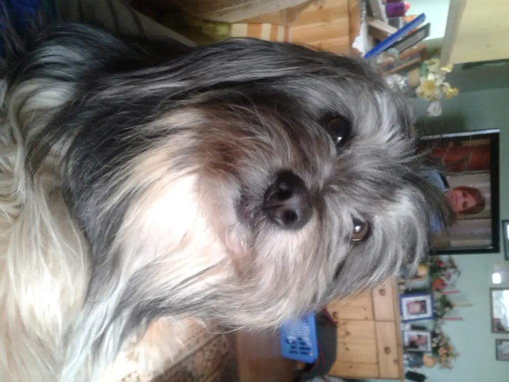 Condolence image of Lisa