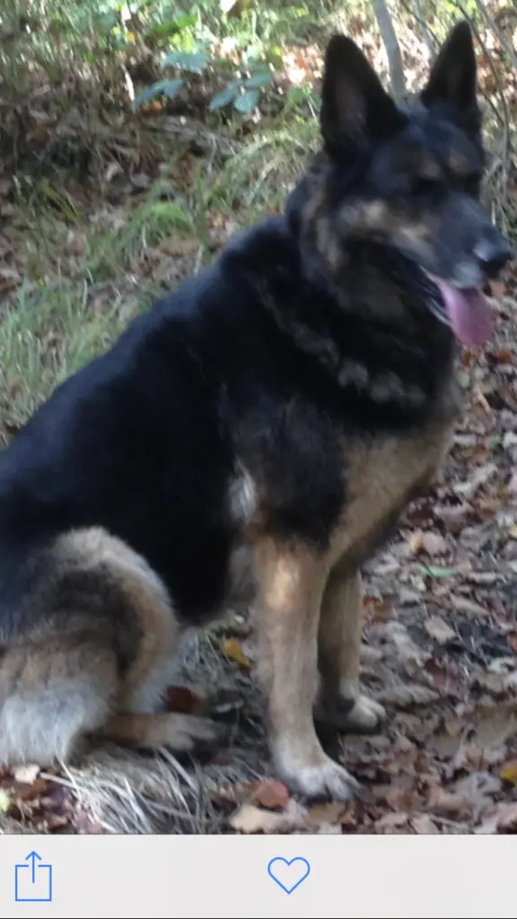 Condolence image of Sabine