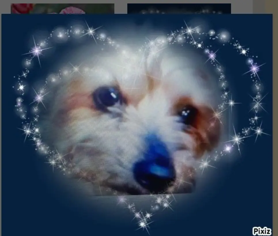 Condolence image of Nanne
