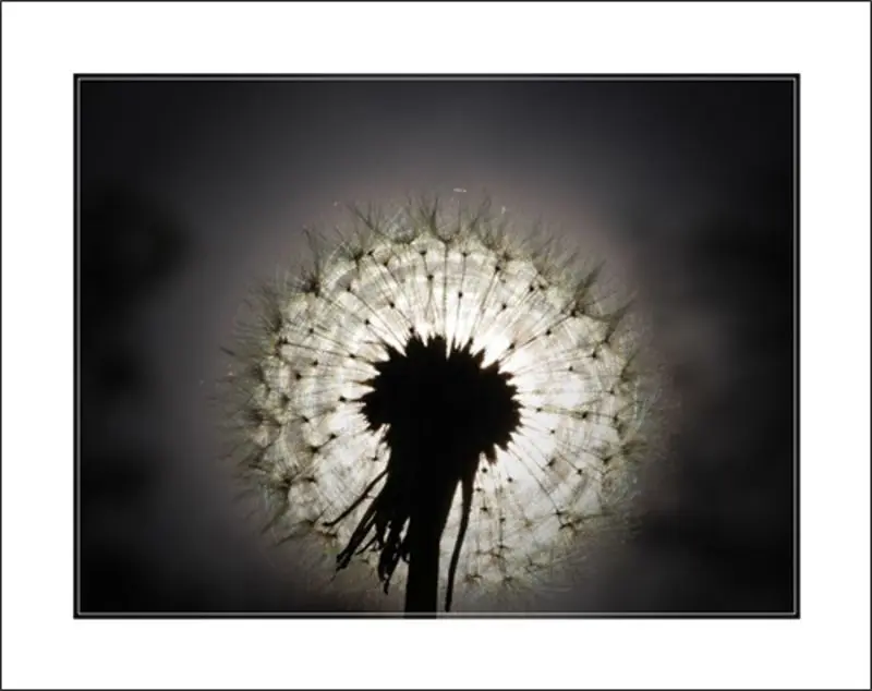 Condolence image of Mama