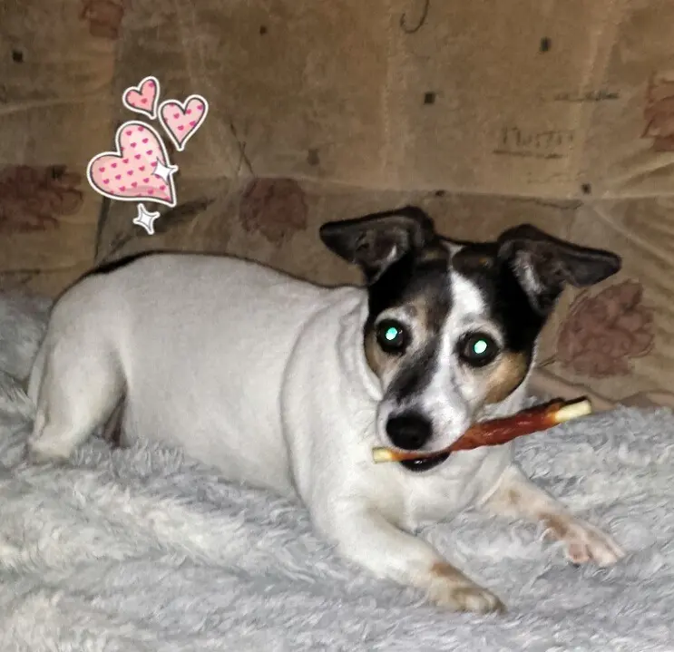 Bild von Josy