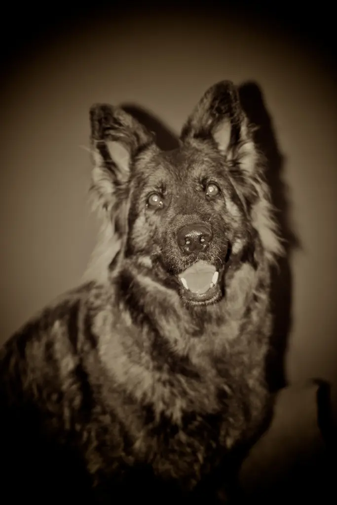 Condolence image of Gudrun