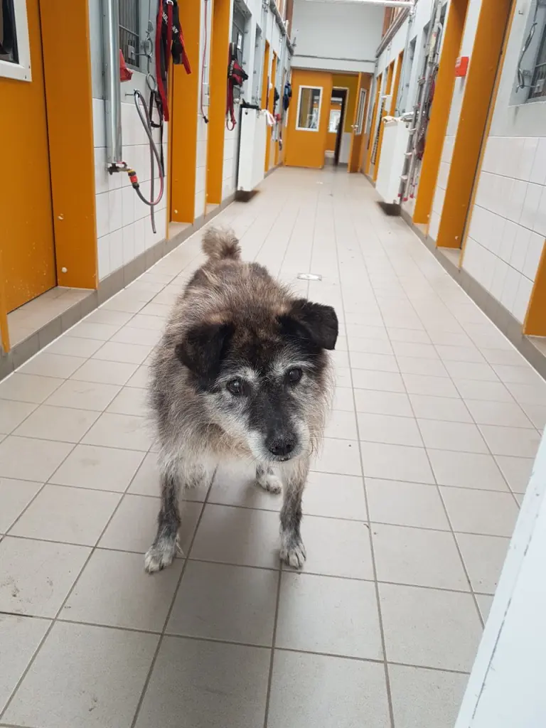 Image from Rashid