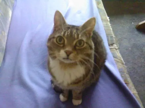 Bild von Mindy