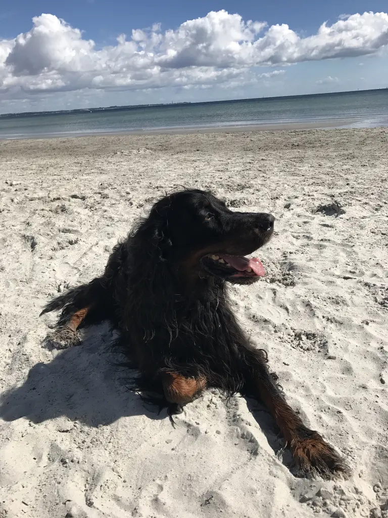 Image from Balou