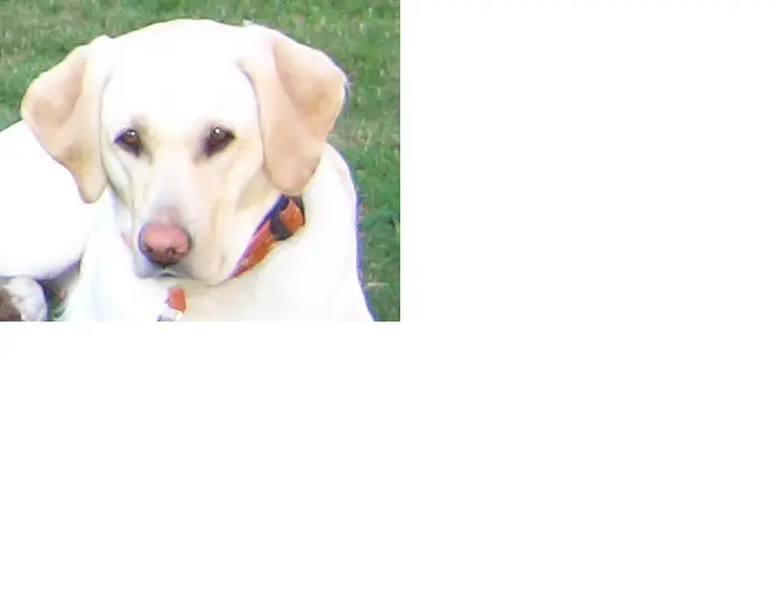 Condolence image of Sigrid