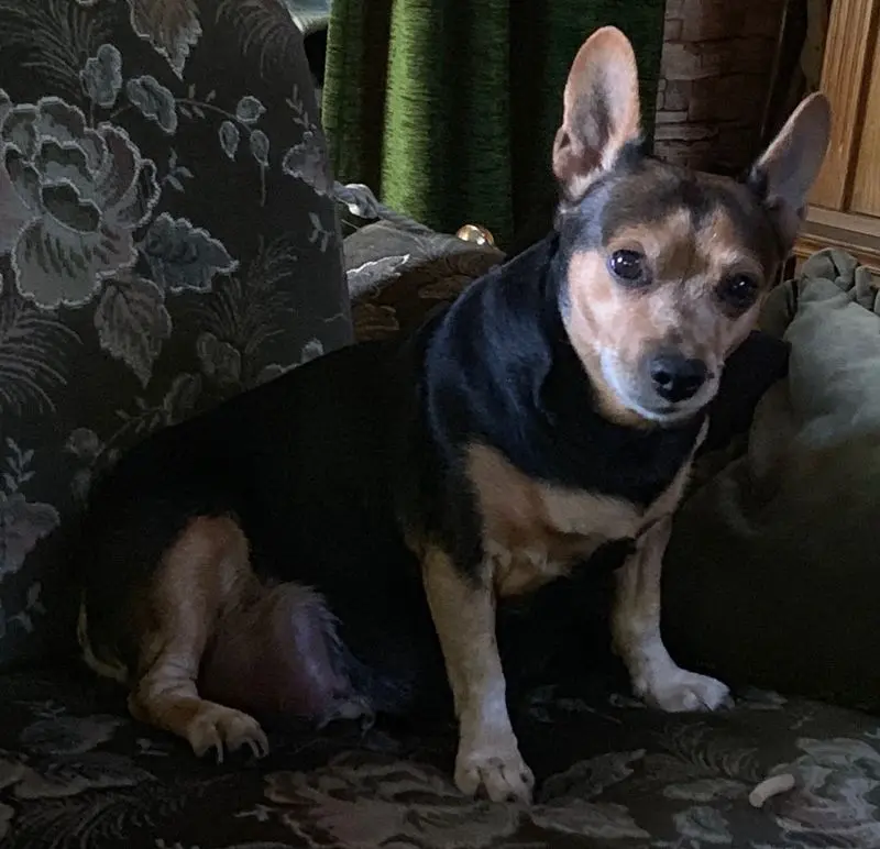 Condolence image of Patrizia