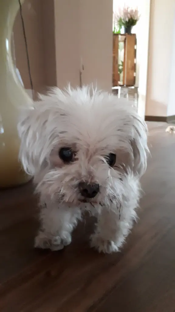 Bild von Nicki