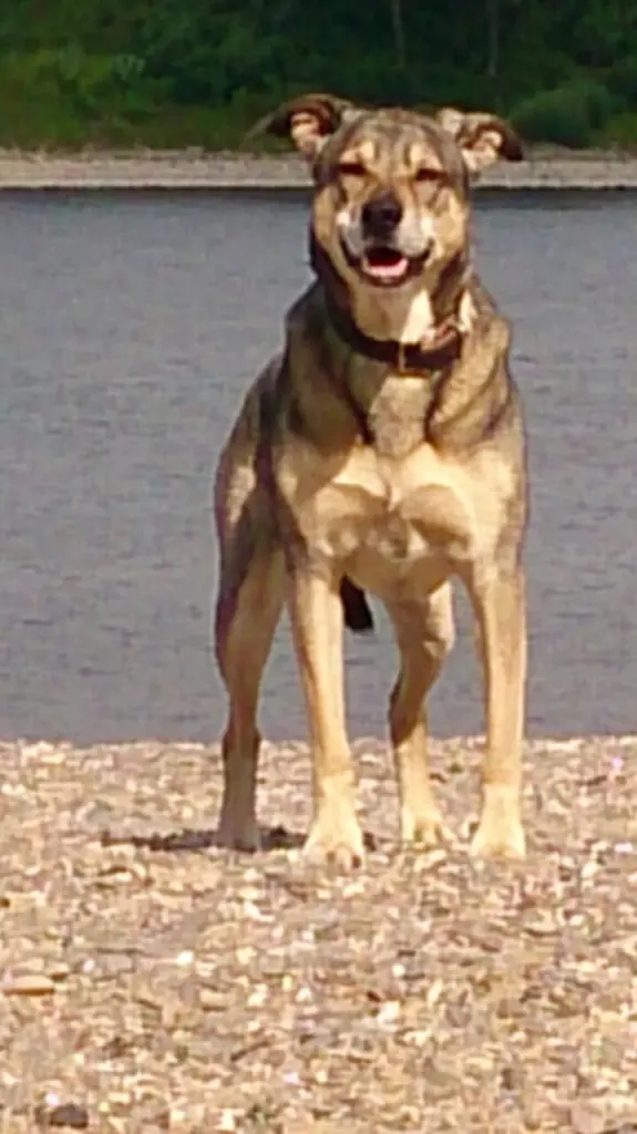 Image from Nanouk
