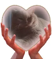 Condolence image of Ein lieber Gruß von Brigitta und♥Sam♥