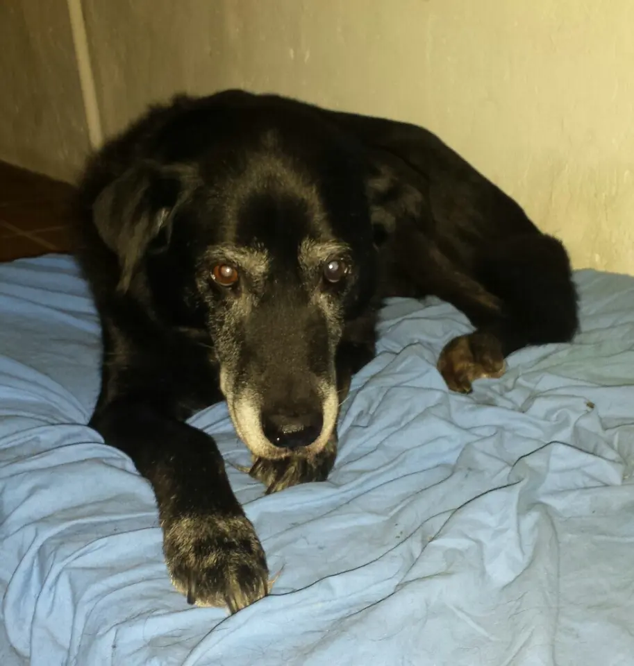 Image from Aischa