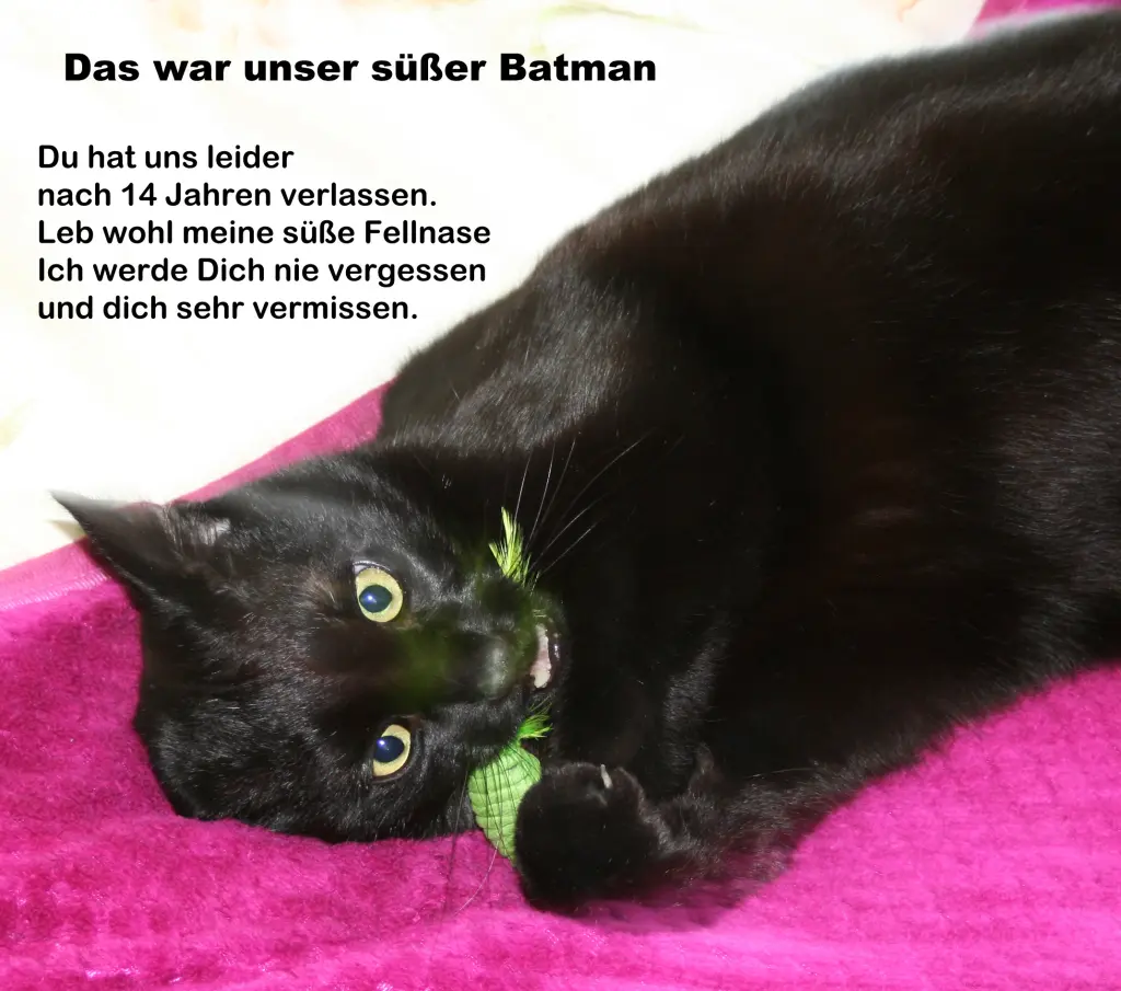 Image from Batman