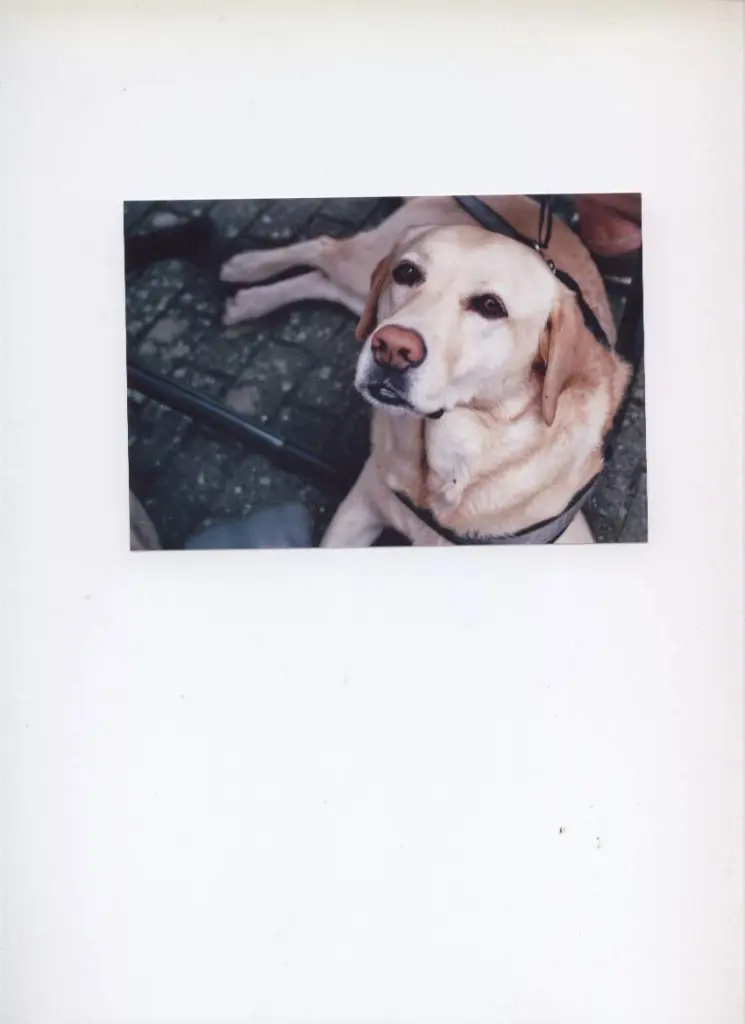 Andachtsbild von Pia