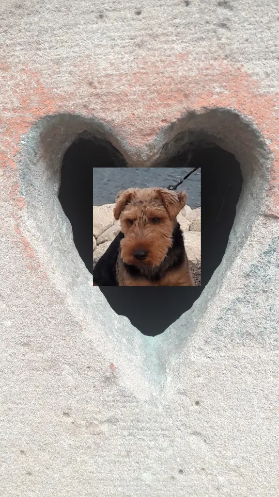 Andachtsbild von Pia