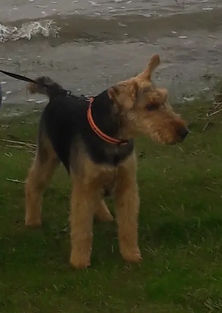 Bild von Max