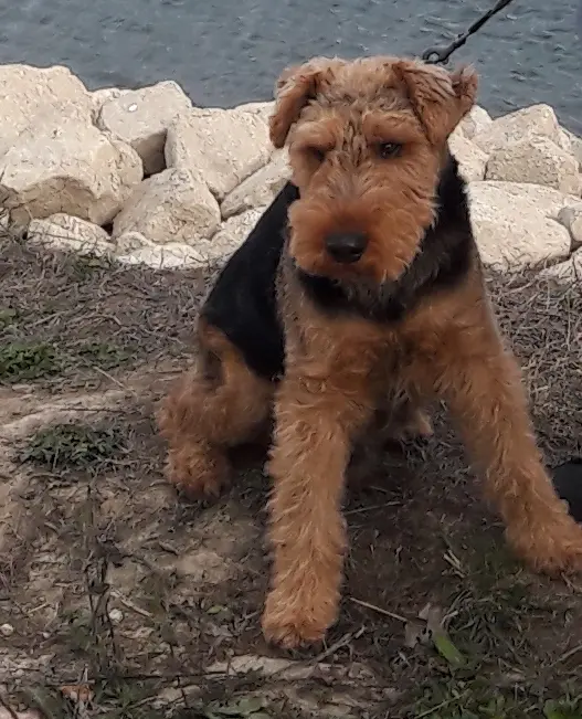 Bild von Max
