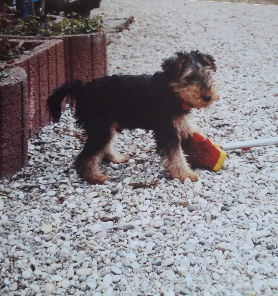 Bild von Max