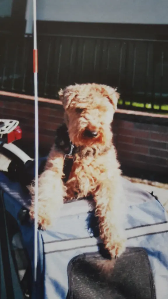 Bild von Max