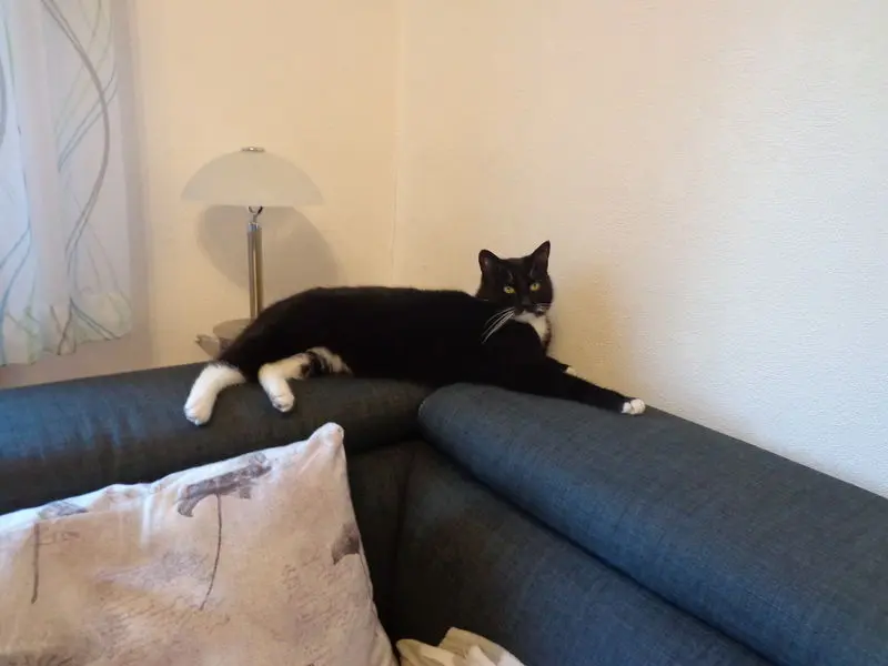 Andachtsbild von Claudia mit Mäußchen im Herzen