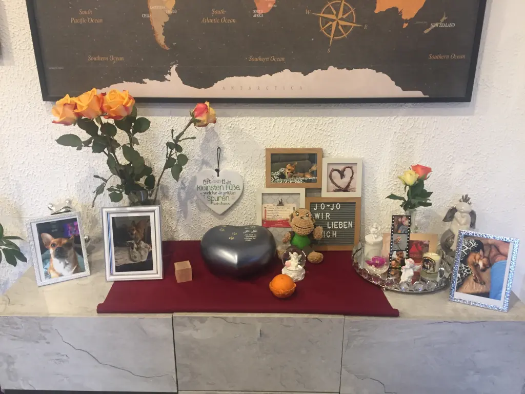 Image from Jo-Jo