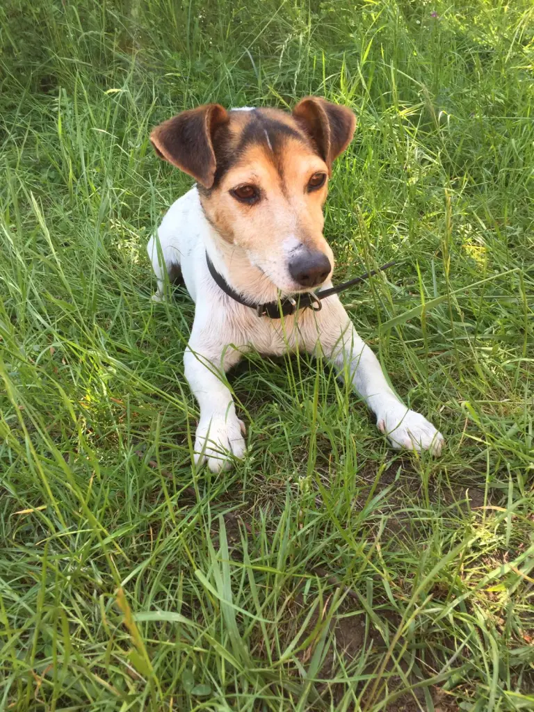 Condolence image of Yvonne und Byron im Herzen