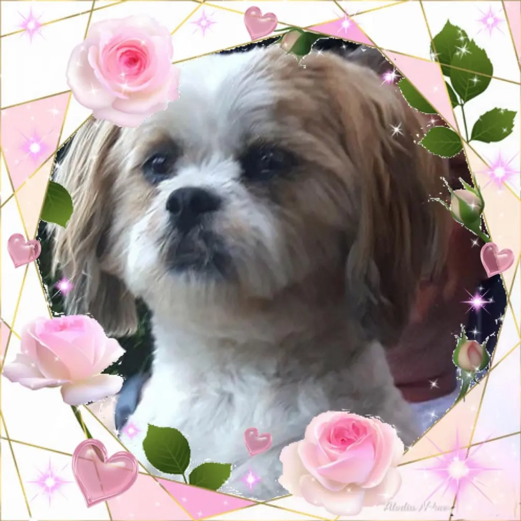 Bild von Aimy