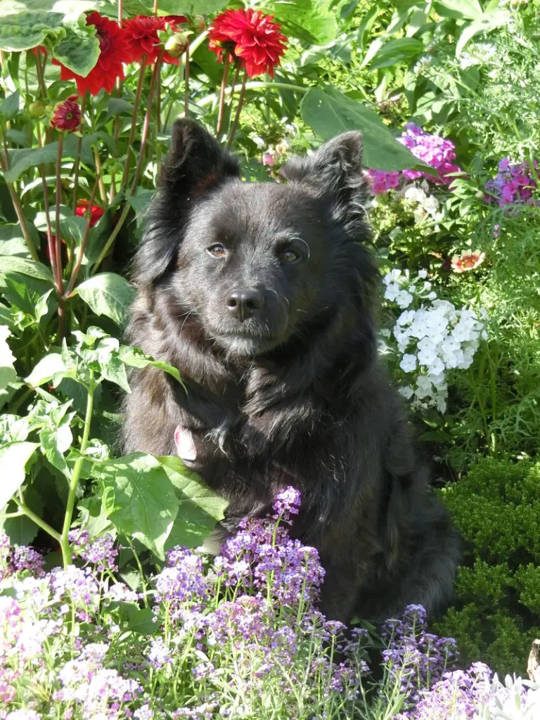 Condolence image of Unbekannt