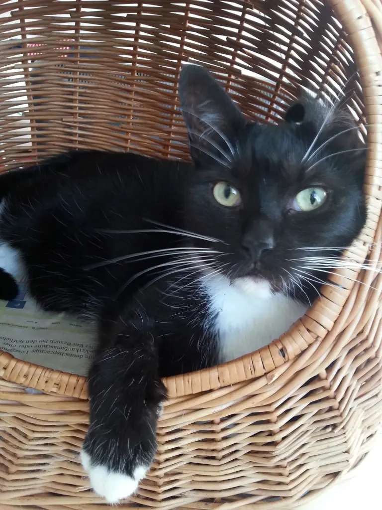 Image from Rusty