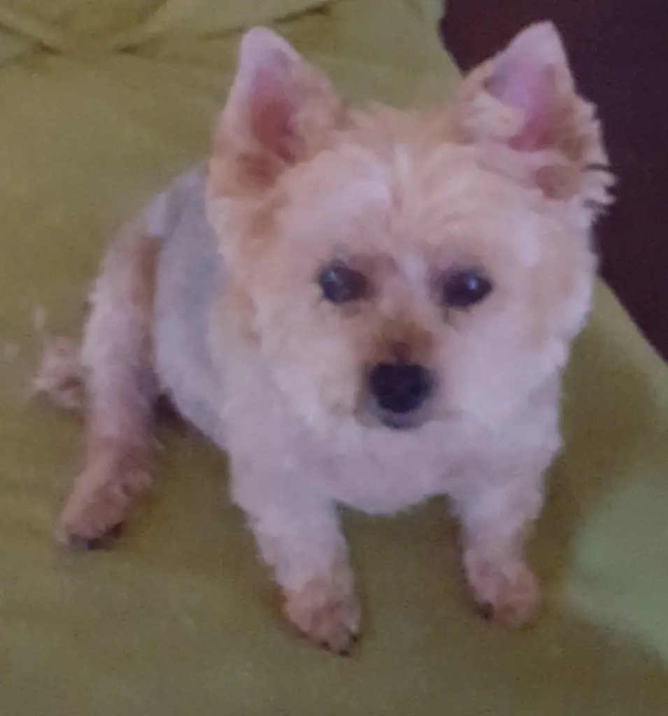 Condolence image of Claudia