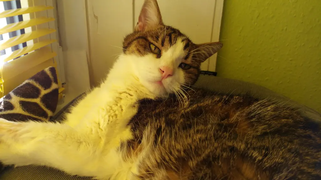 Andachtsbild von Tanja