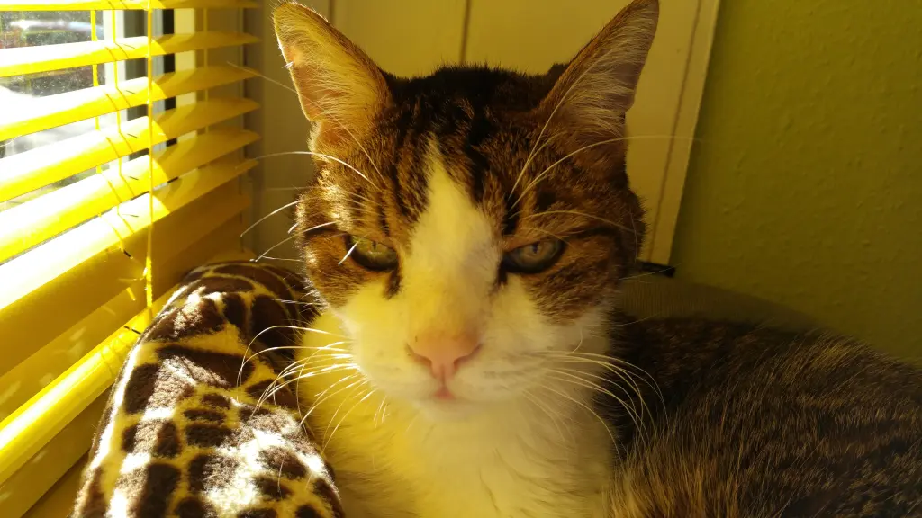 Andachtsbild von Tanja