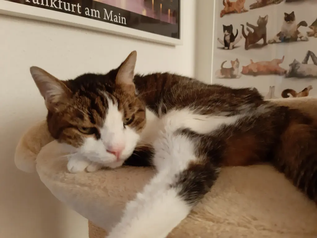 Andachtsbild von Tanja