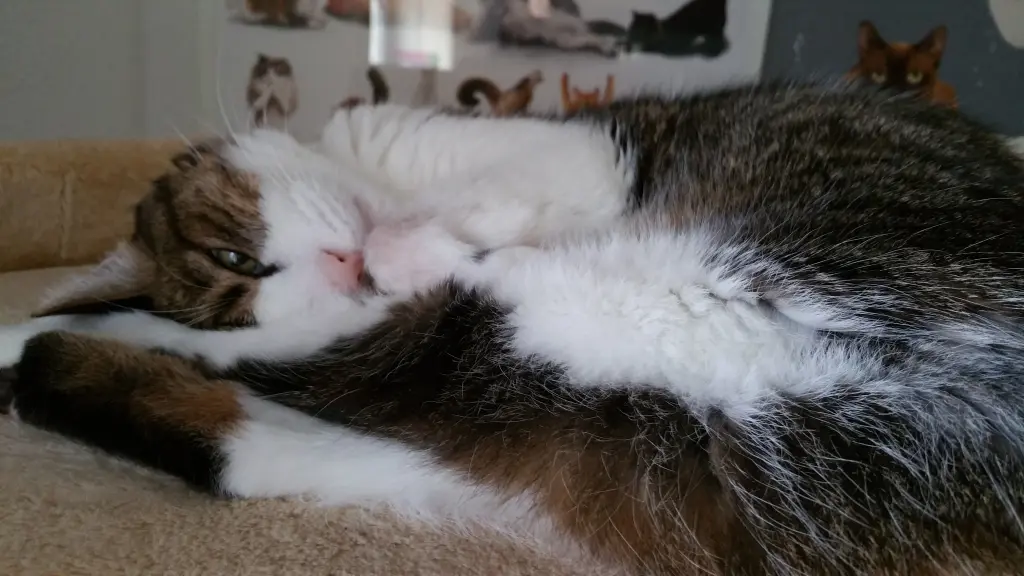 Andachtsbild von Tanja