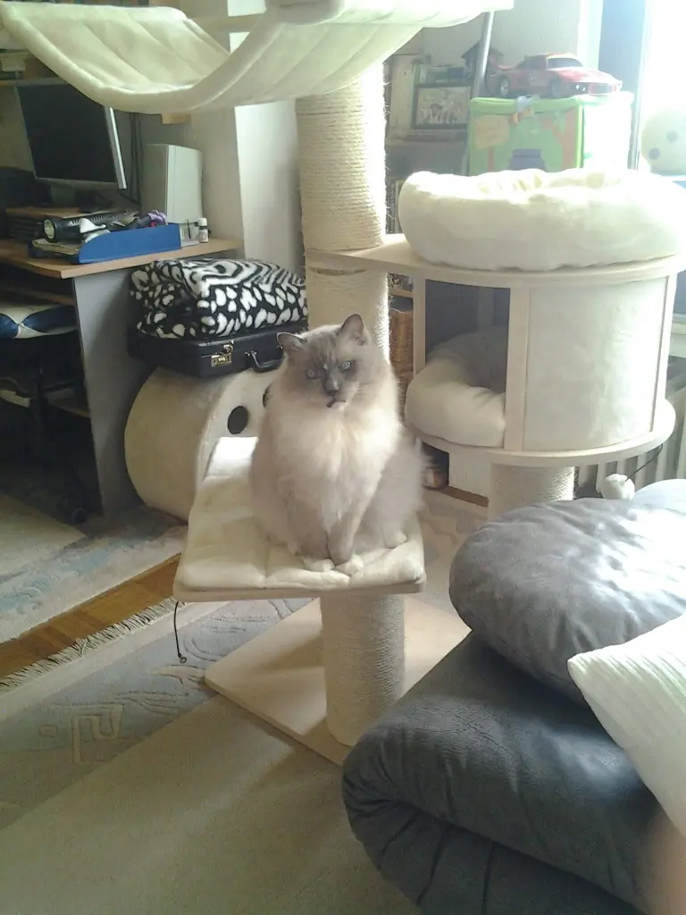 Andachtsbild von Alexa Baumann