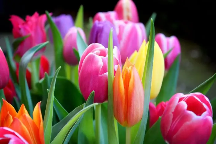 Andachtsbild von Michaela mit Nicko und Ariane ganz tief im ❤