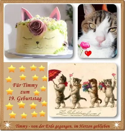 Andachtsbild von Ilse mit ihren geliebten Sternlein im Herzen