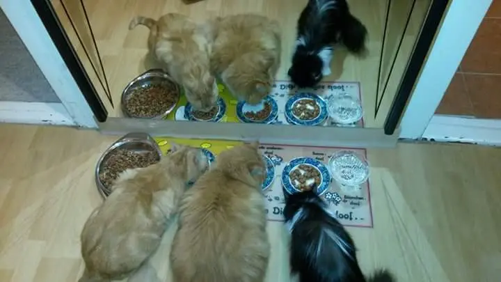 Andachtsbild von Yvonne mit Luzifer im Herzen