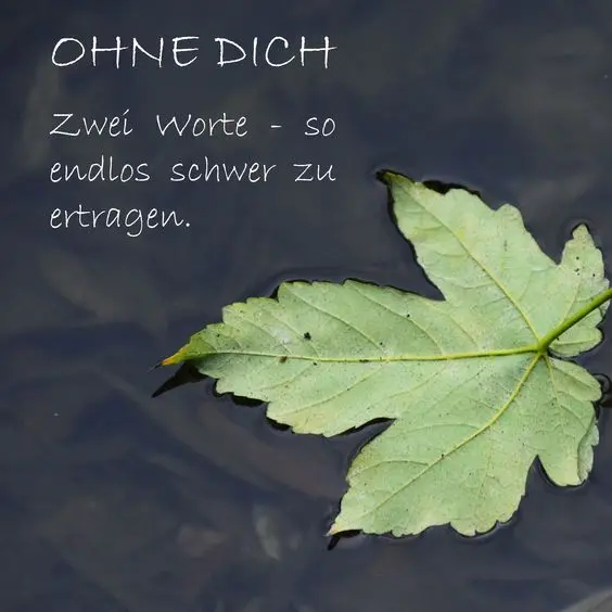 Andachtsbild von Ilse mit ihren geliebten Sternlein im Herzen